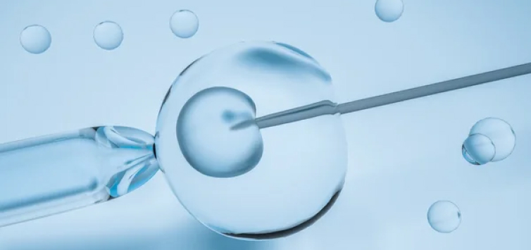 Decoding IVF Success Rates for Infertility Treatment